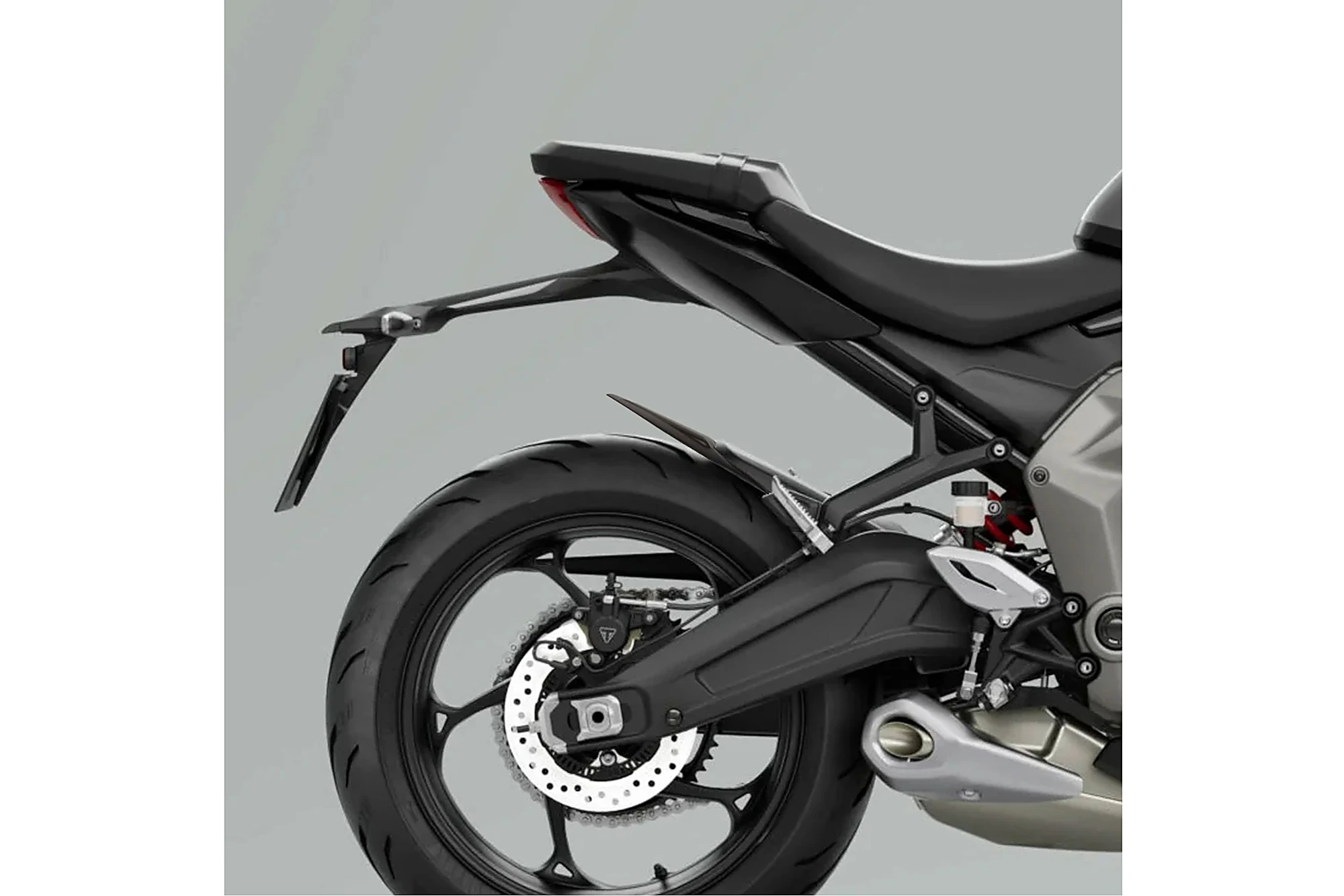 Hinterradabdeckung-Verlängerung - 22501 - TRIUMPH DAYTONA 660 - Bj. 2024