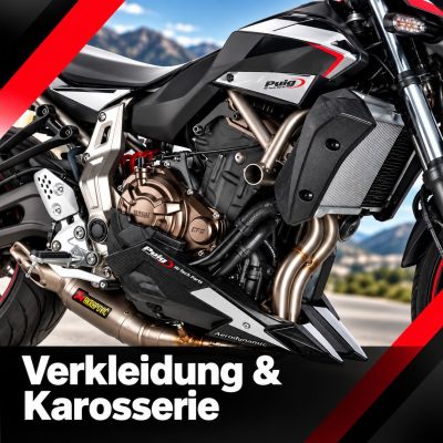 Verkleidung & Karosserie